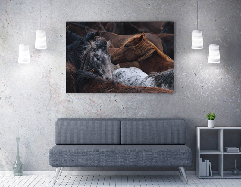 Horse Canvas Art - Group of Horses Print | Premium UK Handmade Canvas Wall Art