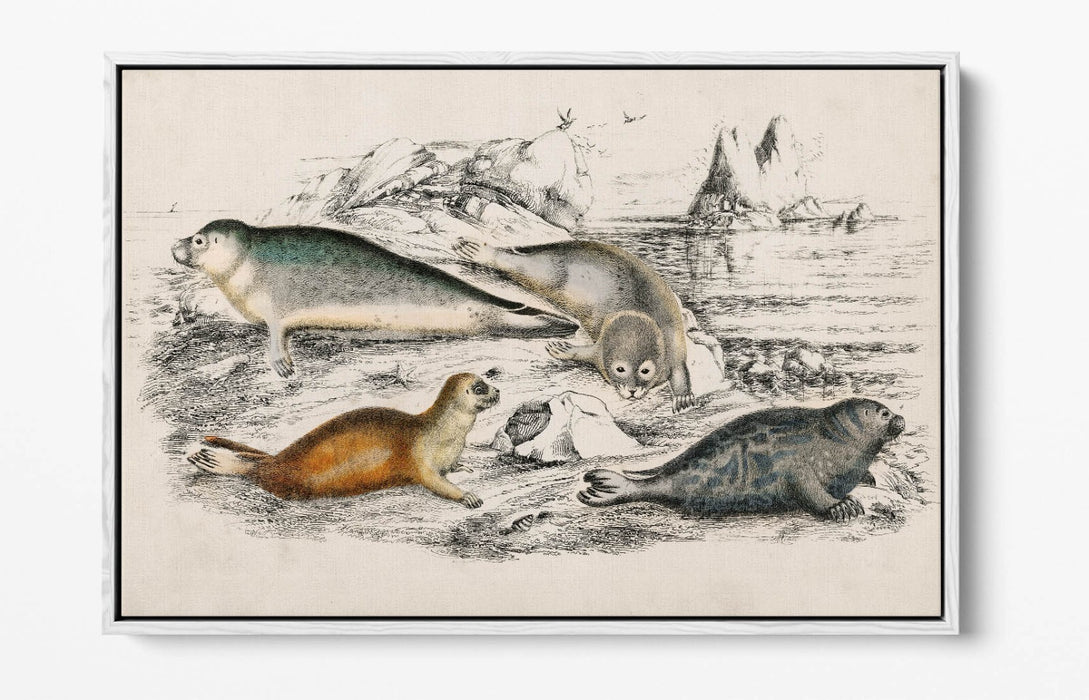 Canvas Wall Art Print - Handmade Canvas With Float Effect & Premium Frame