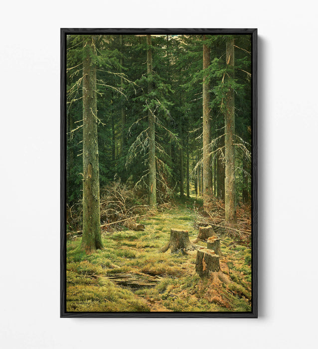 IVAN SHISHKIN, CONIFEROUS FOREST -FLOAT EFFECT CANVAS WALL ART PRINT ARTWORK