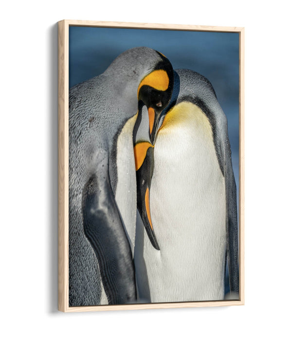 Penguin Couple Canvas - Cute Animal Artwork | Float Effect Canvas Wall Art Print