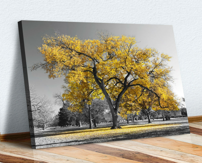 Canvas Wall Art Large Tree Yellow Leaf Print - Black White Decor, 30mm Deep Frame