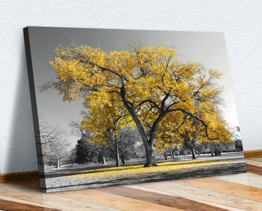 Canvas Wall Art Large Tree Yellow Leaf Print - Black White Decor, 30mm Deep Frame