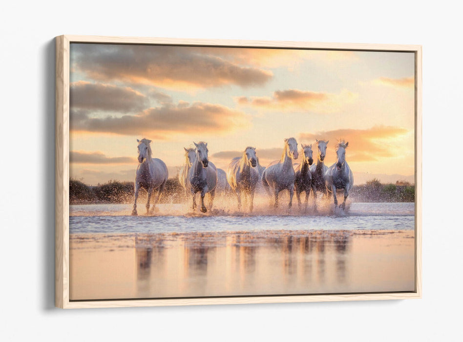 Canvas Wall Art - Wild White Horses Running On Water | Float Effect Canvas Print
