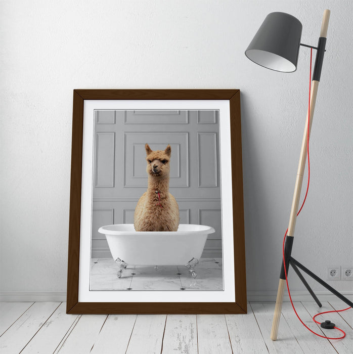 LLAMA IN BATHTUB -QUIRKY ART FRAMED POSTER PICTURE PRINT BATHROOM ARTWORK