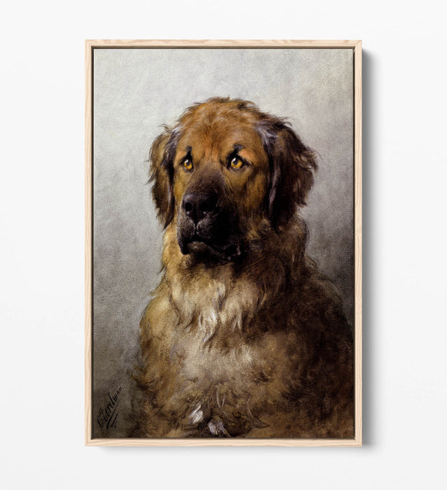 Canvas Wall Art – Otto Ereleman Head Of Leonberger | Premium Float Effect Print
