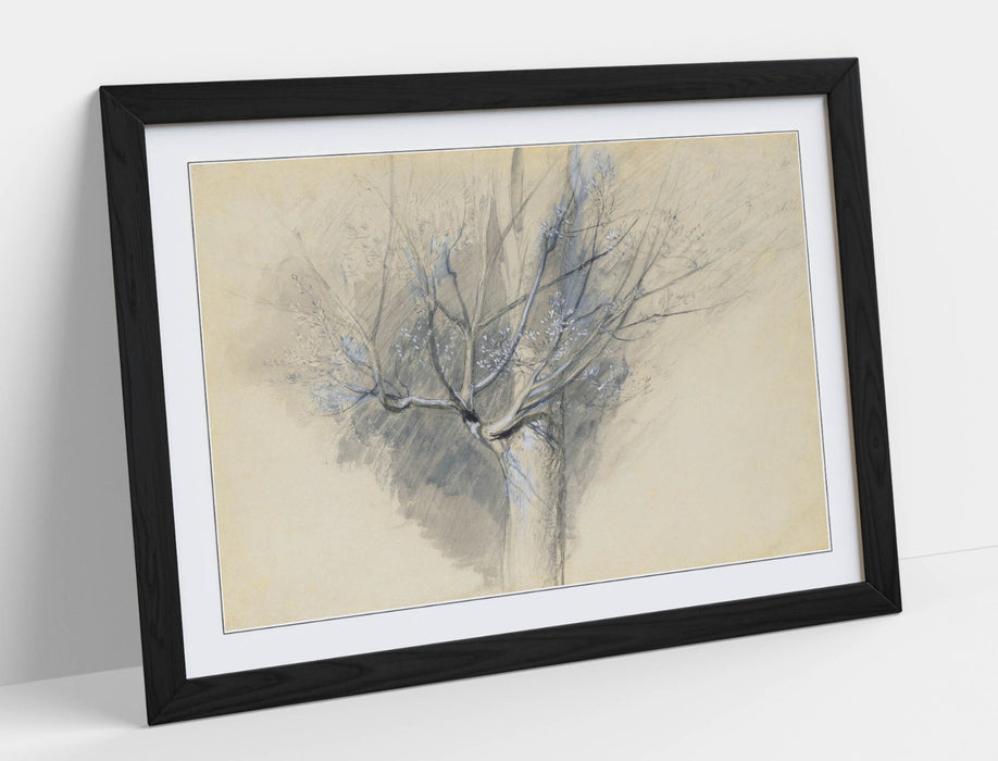 Framed Wall Art - John Ruskin Budding Sycamore Art With Woodgrain Frame