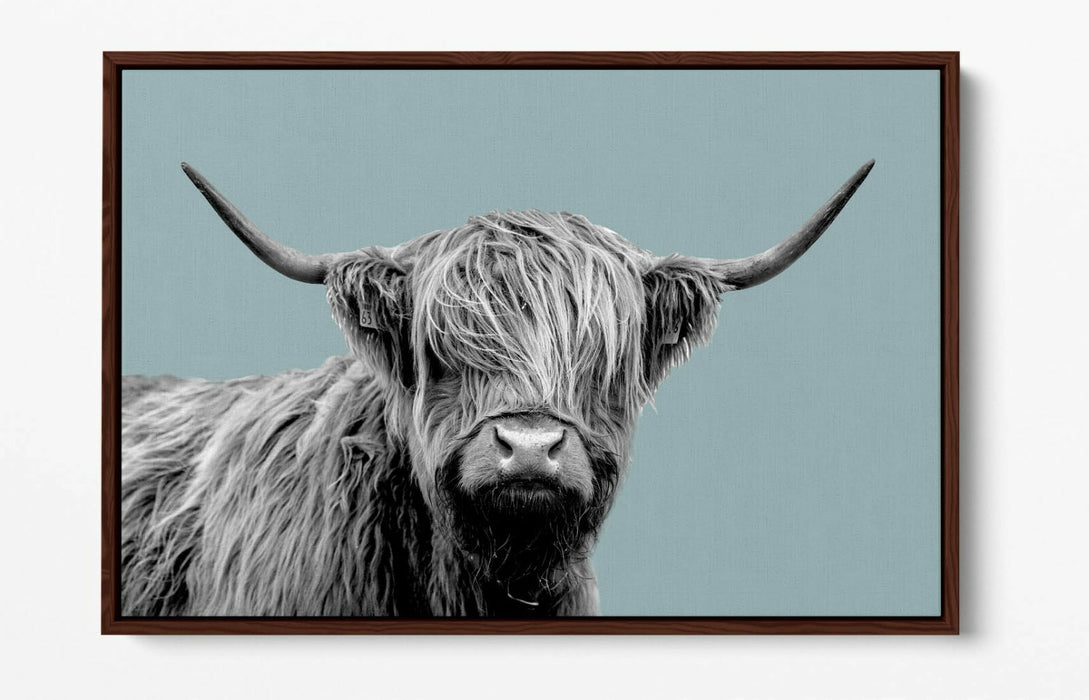 HIGHLAND COW DUCK EGG BLUE -FLOAT EFFECT CANVAS WALL ART PIC PRINT-