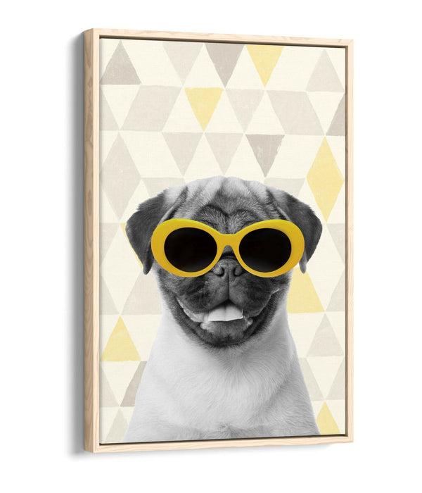 PUG SUNGLASSES YELLOW GREY -FLOAT EFFECT CANVAS WALL ART PIC PRINT- WHITE