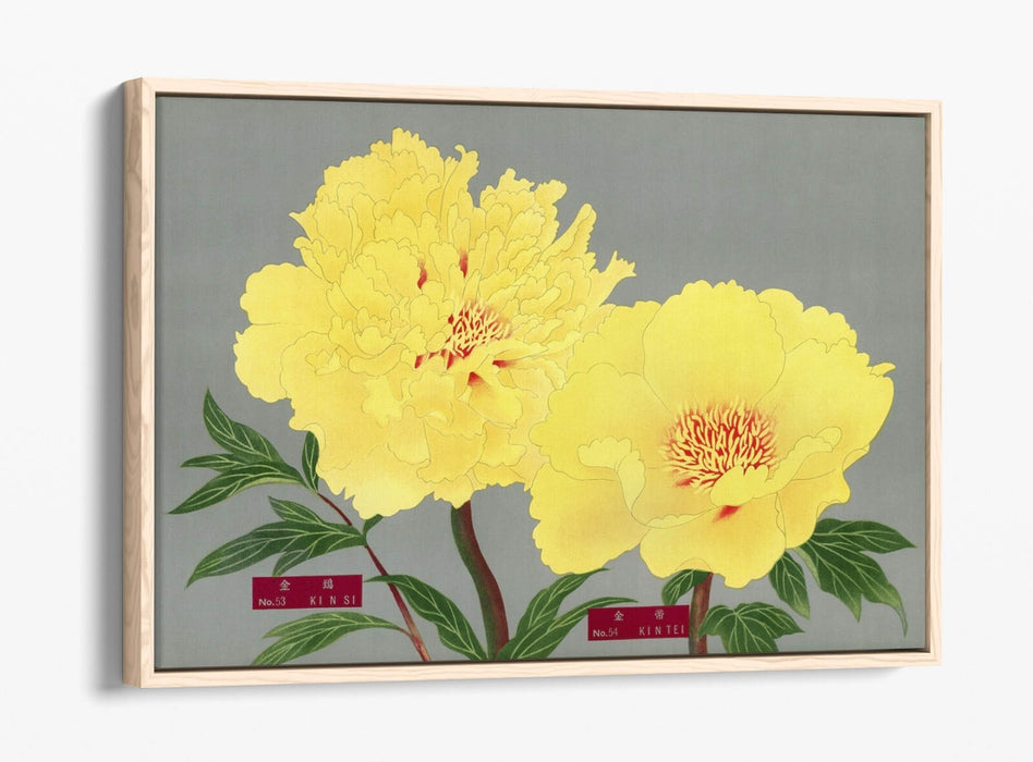Vintage Canvas Wall Art – Peony Blossom Print with Float Effect Frame, Handmade