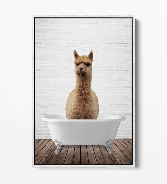 LLAMA IN BATHTUB -QUIRKY BATHROOM FLOAT EFFECT CANVAS WALL ART PIC PRINT