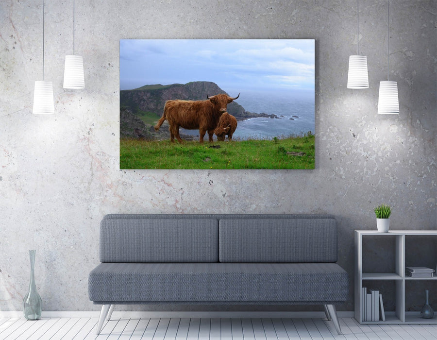 Highland Cows Canvas | Coastal Wall Art - Rustic Cow Artwork, Ready To Hang