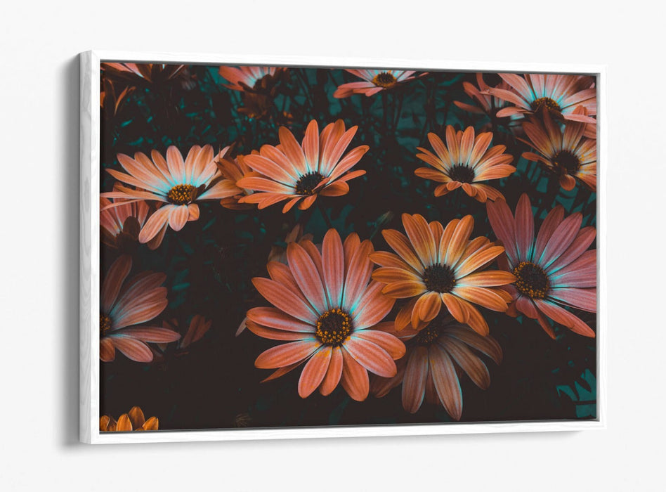 VINTAGE TEAL PEACH FLOWERS -FLOAT EFFECT CANVAS WALL ART PIC PRINT-