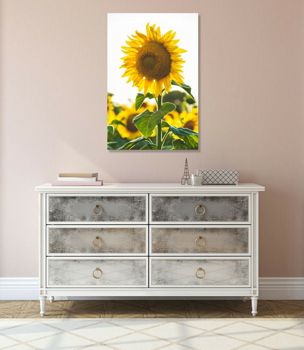 Canvas Wall Art - Sunflower Canvas Print With 30mm Deep Frame, Ready To Hang