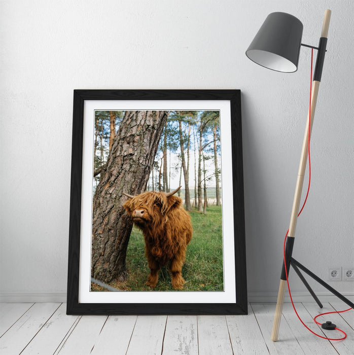 Highland Cow Wall Art – Framed Rustic Farmhouse Decor Poster Print UK Handmade