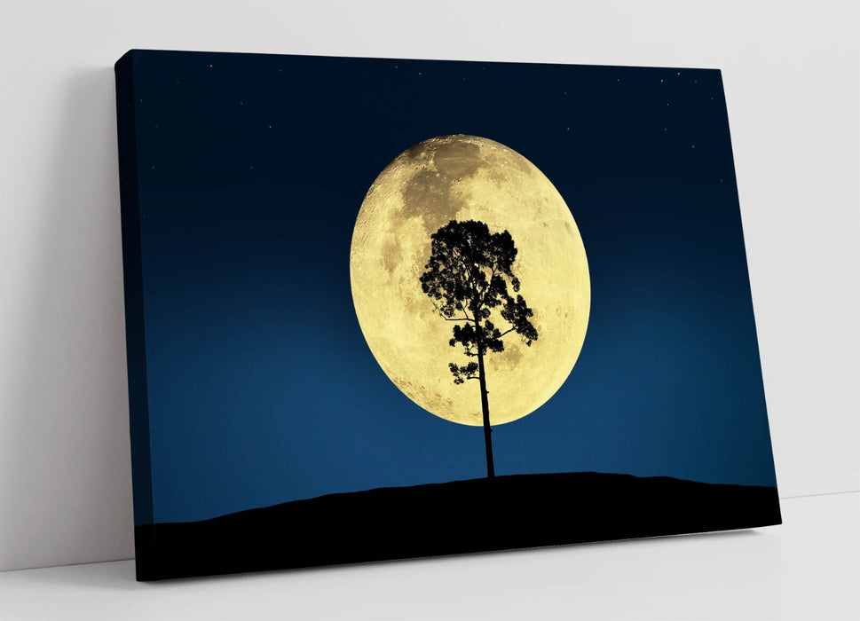 Canvas Wall Art – Tree Silhouette Print With Big Moon Blue Night Sky