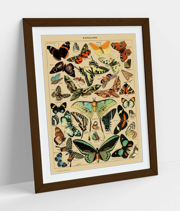 VINTAGE BUTTERFLIES ART POSTER RETRO -FRAMED WALL ART PICTURE PRINT