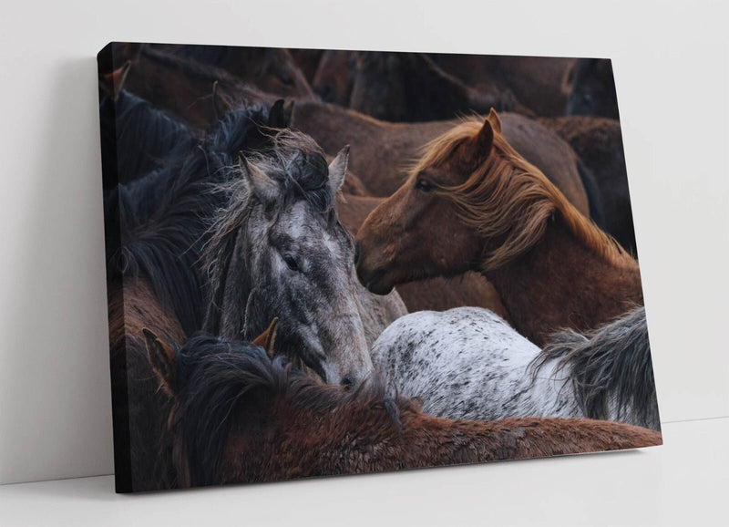 Horse Canvas Art - Group of Horses Print | Premium UK Handmade Canvas Wall Art