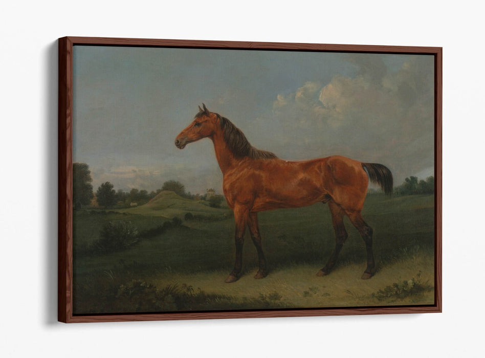 Canvas Wall Art - Edmund Bristow Bay Horse Float Effect Handmade Print
