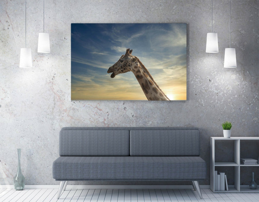 GIRAFFE IN THE CLOUDS -CANVAS WALL ART PRINT ARTWORK ANIMAL FRAMED- ANIMAL PHOTO