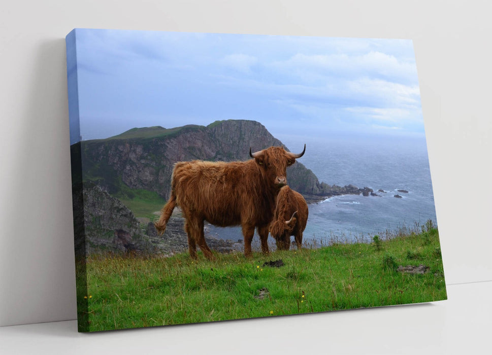 Highland Cows Canvas | Coastal Wall Art - Rustic Cow Artwork, Ready To Hang