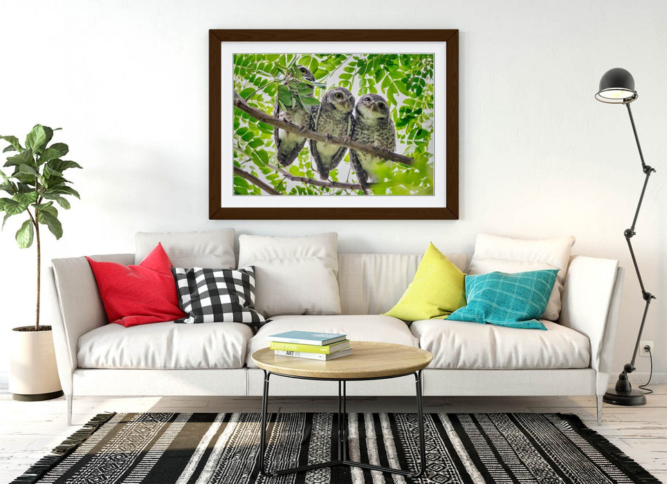 Framed Owl Wall Art – Three Owls In Tree | Handmade Bedroom Framed Print
