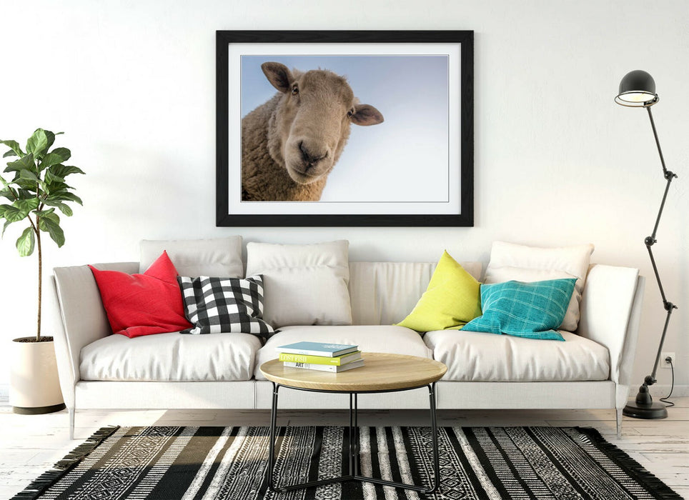 CURIOUS SHEEP -ART FRAMED POSTER PICTURE PRINT ARTWORK- BEIGE WHITE