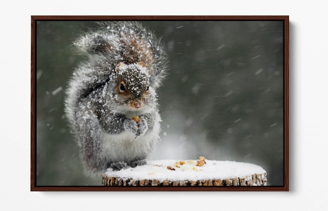Squirrel Canvas Art - Cute Snowy Squirrel Print on Premium Float Frame
