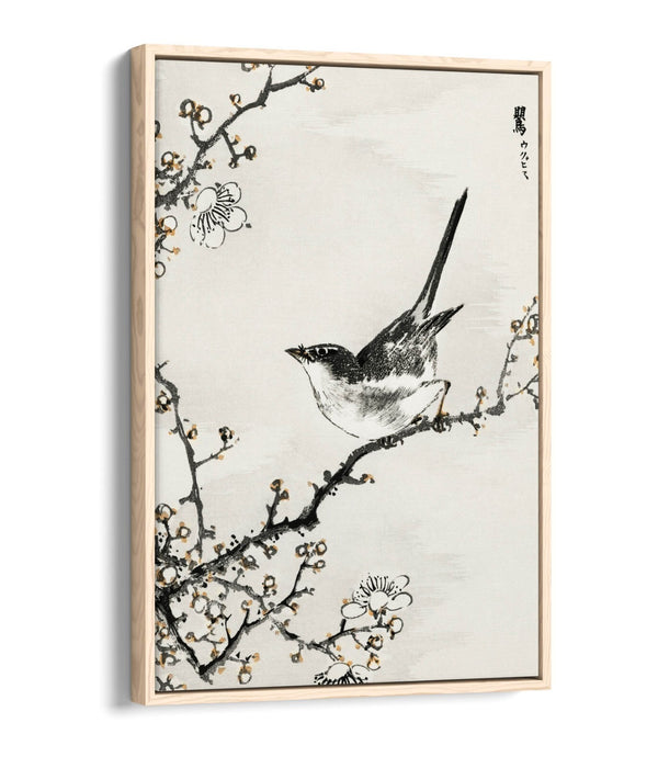 Float Effect Canvas Art - NUMATA KASHU Bush Warbler & White Plum Tree Print