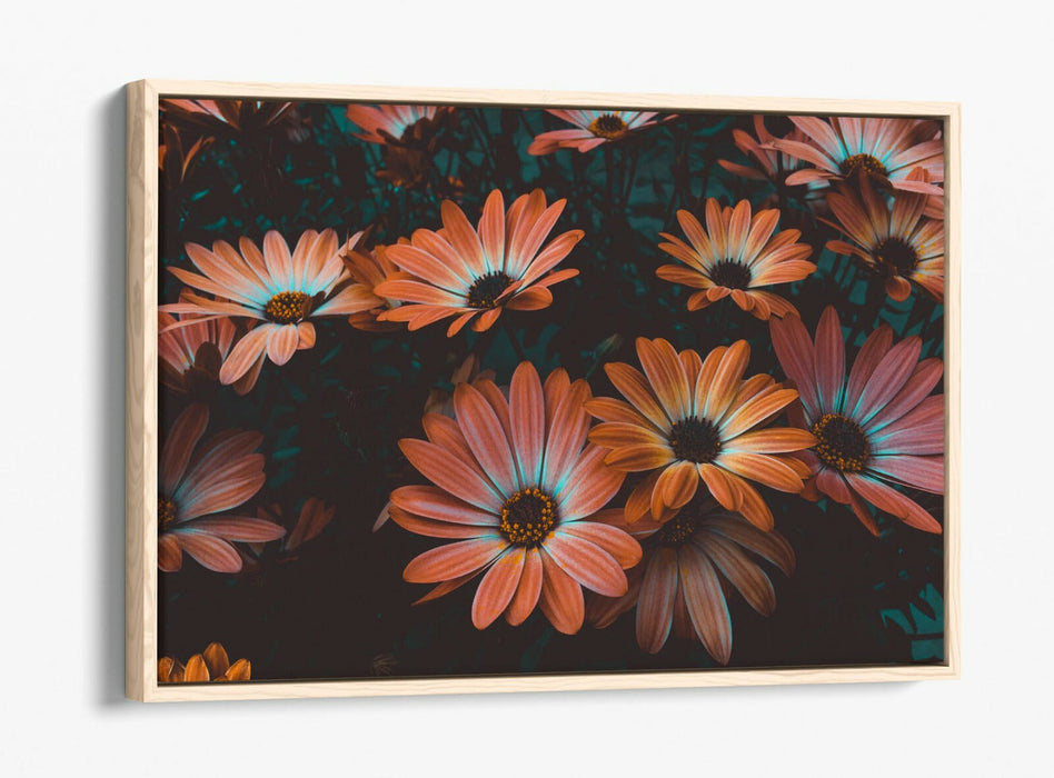 VINTAGE TEAL PEACH FLOWERS -FLOAT EFFECT CANVAS WALL ART PIC PRINT-