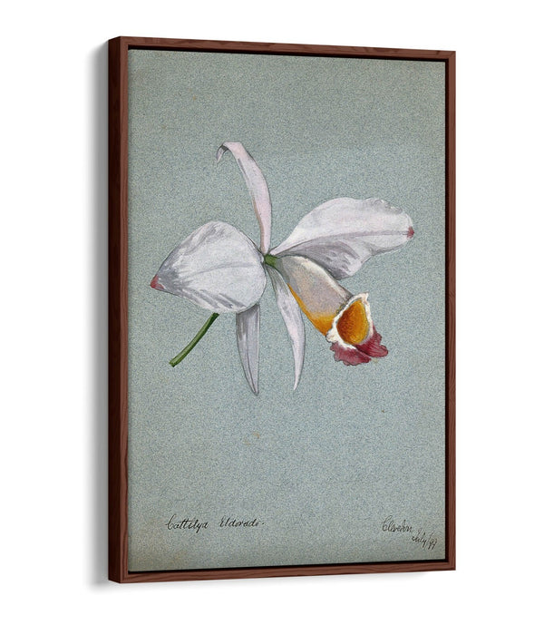 AN ORCHID WATERCOLOUR ILLUSTRATION HOME DECOR FLOAT EFFECT CANVAS WALL ART PRINT