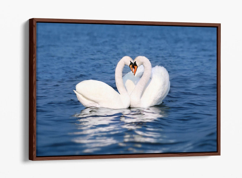 Canvas Wall Art – Swans Kissing Heart Love Print | Float Effect Bedroom Decor