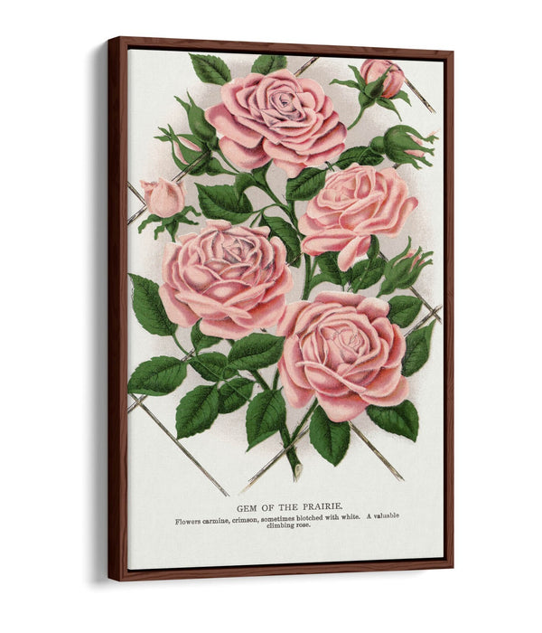 Float Effect Canvas Art – Pink Rose Prairie Lithograph Print | Handmade UK Wall Decor