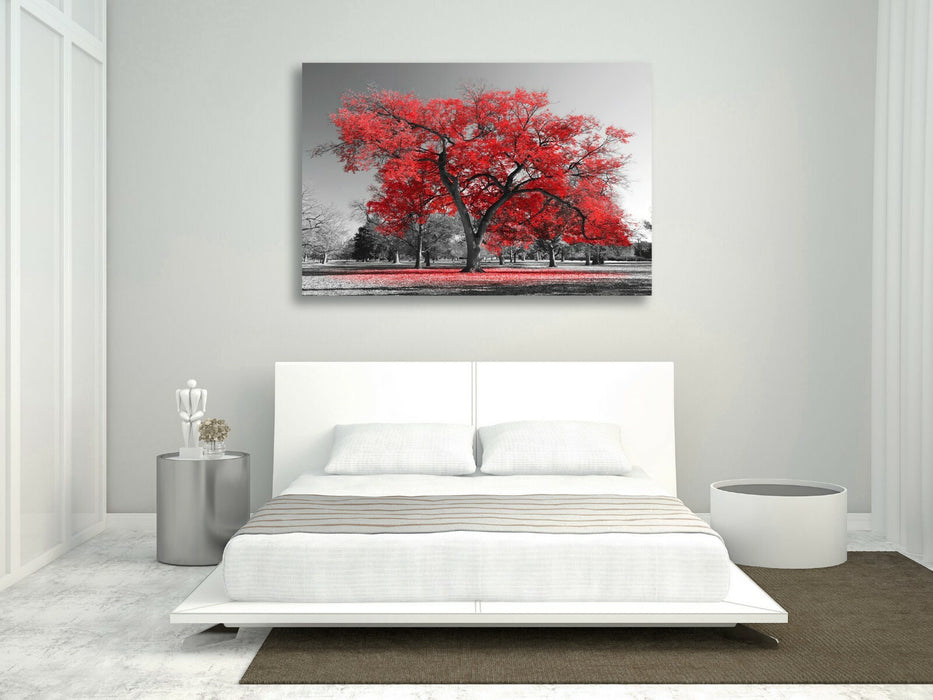 Canvas Wall Art Large Tree Red Leaves Black White 30mm Deep Premium Print