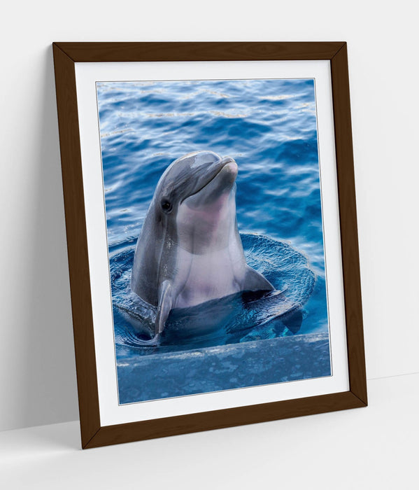 Dolphin Wall Art – Cute Dolphin Print Framed Art Poster | Handmade UK Frame