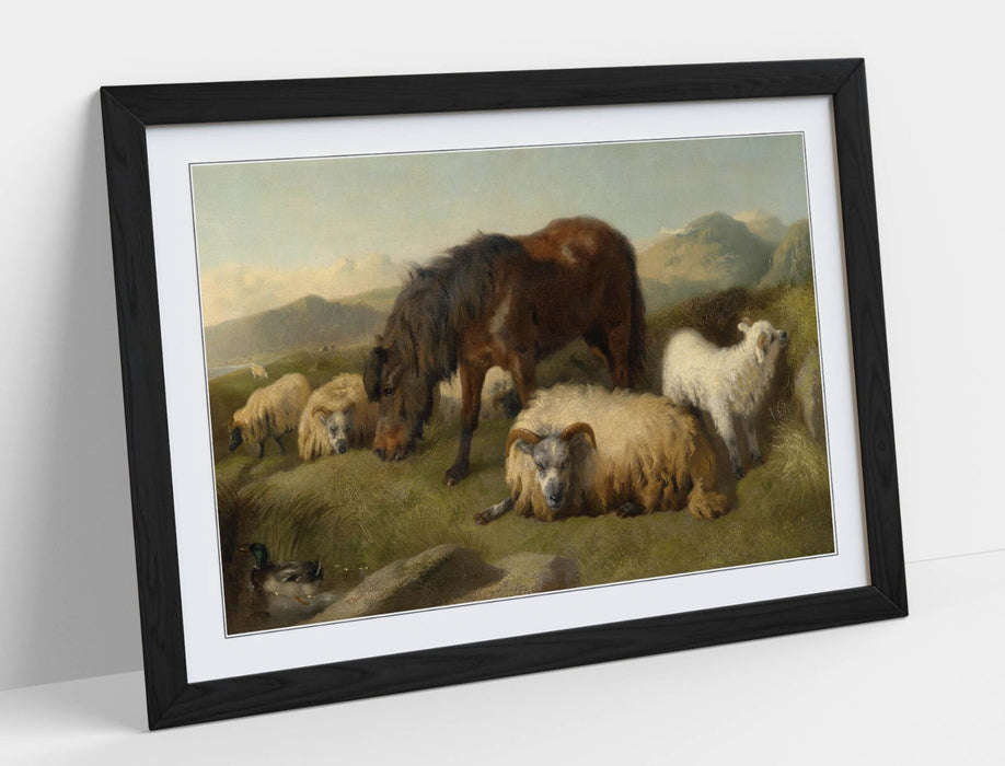 Framed Wall Art – Goats Sheep Pony Vintage Animal Print With Woodgrain Faux Frame