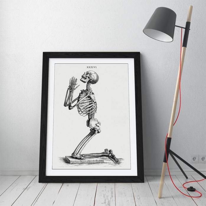 Framed Skeleton Wall Art – William Cheselden Praying Skeleton Poster Print in Wood Grain Frame