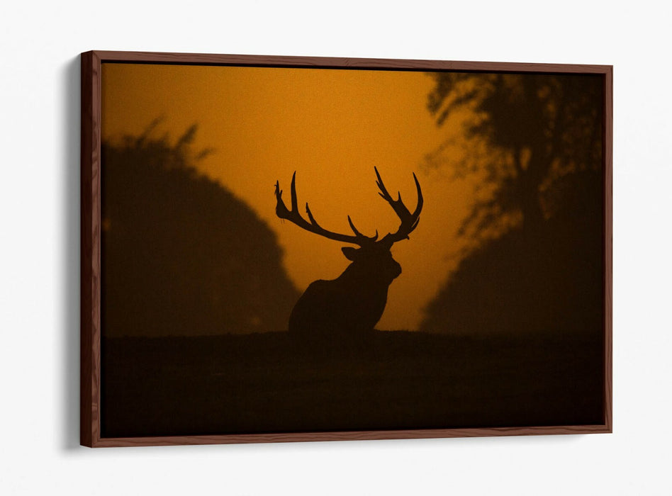 STAG SILHOUETTE SUNSET -FLOAT EFFECT CANVAS WALL ART PIC PRINT- ANIMAL PHOTO