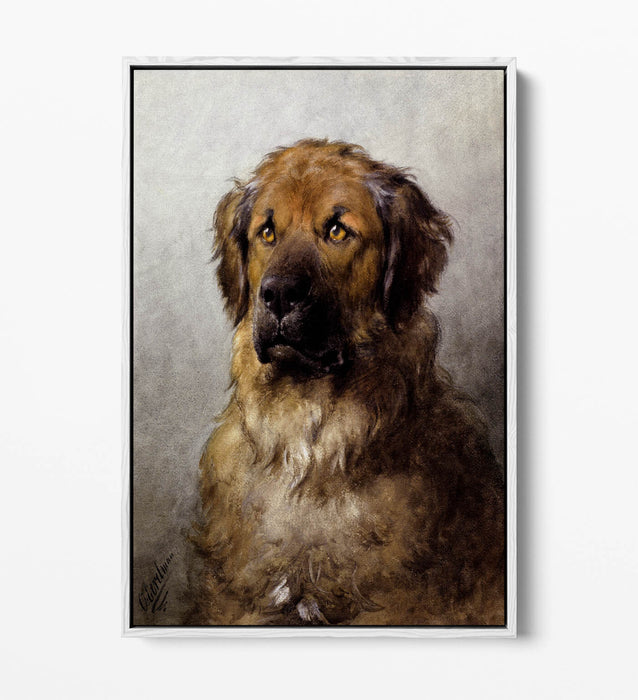 Canvas Wall Art – Otto Ereleman Head Of Leonberger | Premium Float Effect Print