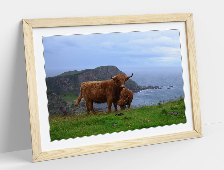 Highland Cows Wall Art – Framed Coastal Landscape Print With Woodgrain Frame