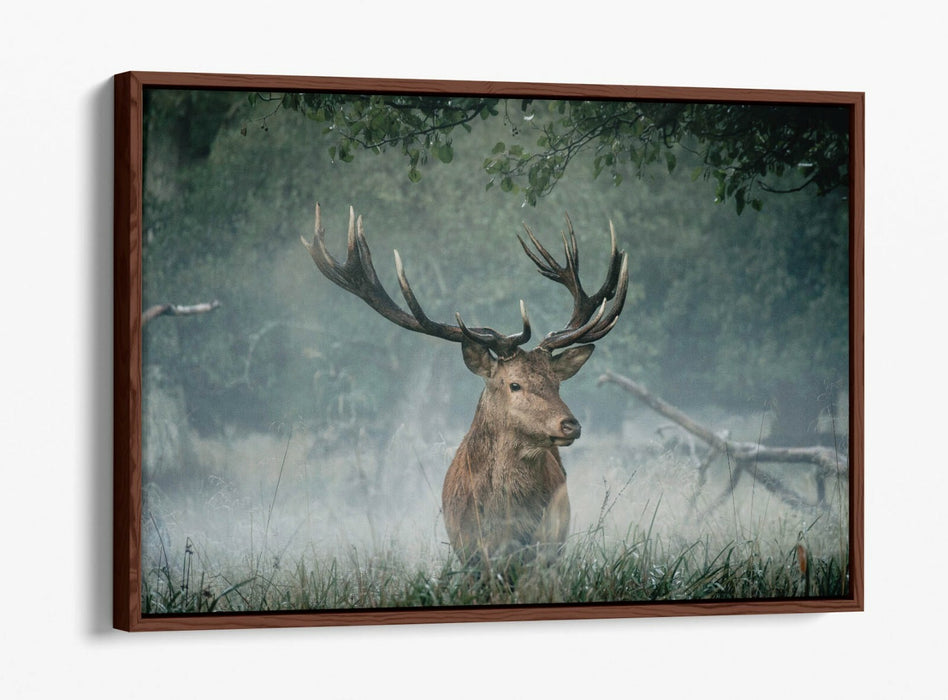 MAJESTIC STAG -FLOAT EFFECT CANVAS WALL ART PIC PRINT- ANIMAL PHOTO