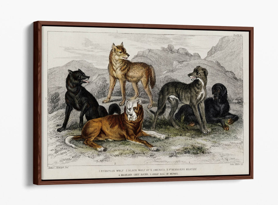 Canvas Wall Art Print | Premium Canvas Frame, Vibrant Wall Decor Dog Design