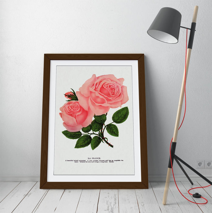 Framed Wall Art Poster - Pink Rose Print With La France Lithograph, Handmade Decor