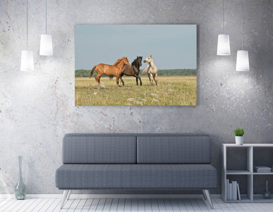 HORSES GALLOPING IN FIELD LANDSCAPE HOME DECOR CANVAS WALL ARTWORK PICTURE PRINT