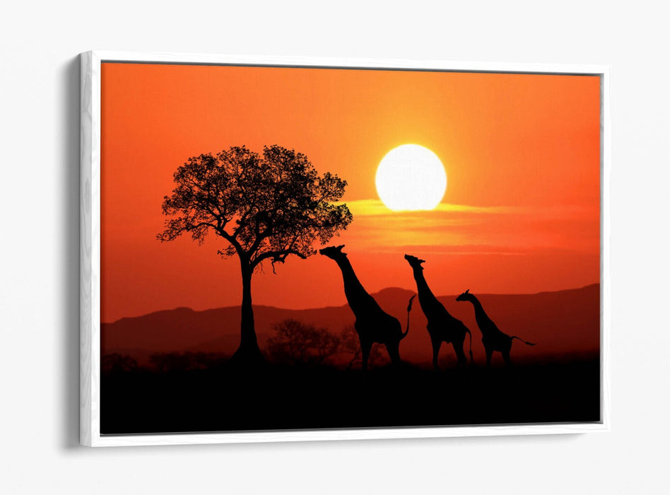Safari Canvas Wall Art – African Landscape With Giraffes | Float Effect Print