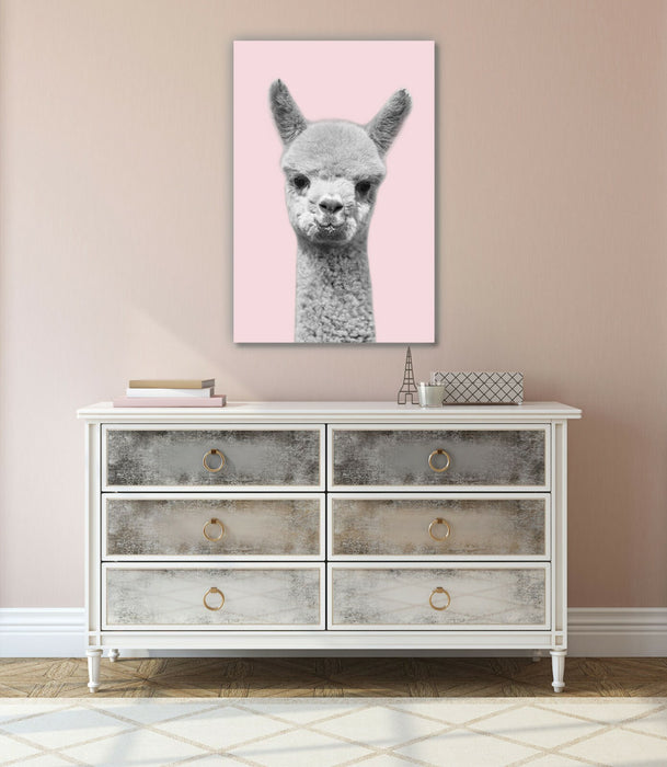 Baby Alpaca Wall Art - Handmade Black White Pink Canvas Print with Satin Finish