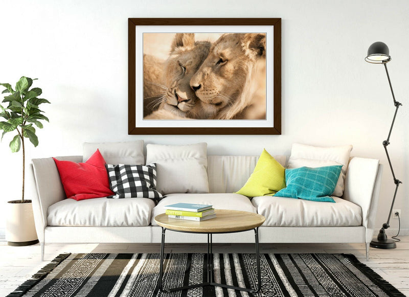Wildlife Photography Poster – Lions In Love Art | Framed Wall Art Ready To Hang