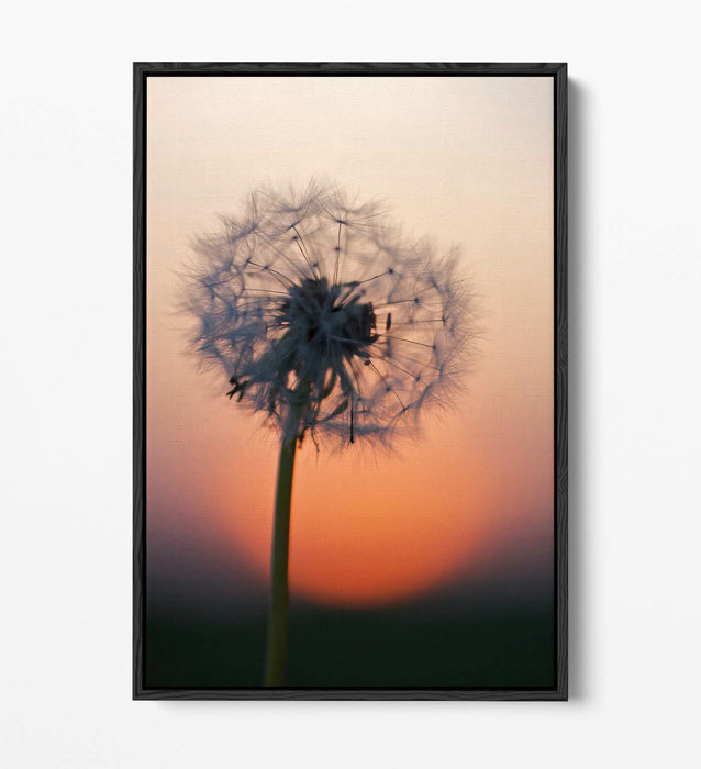 DANDELION PORTRAIT -FLOAT EFFECT CANVAS WALL ART PIC PRINT- GREY BLACK