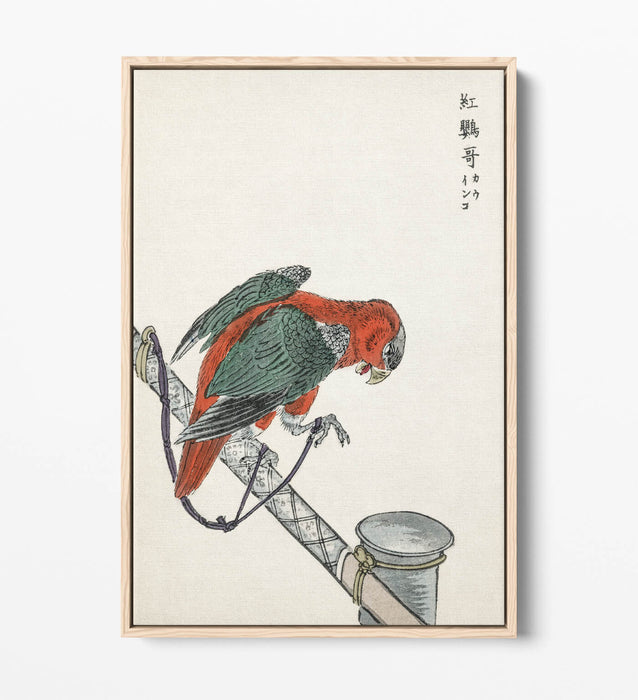 Canvas Wall Art - Macaw Float Effect Canvas Art Print | Handmade UK