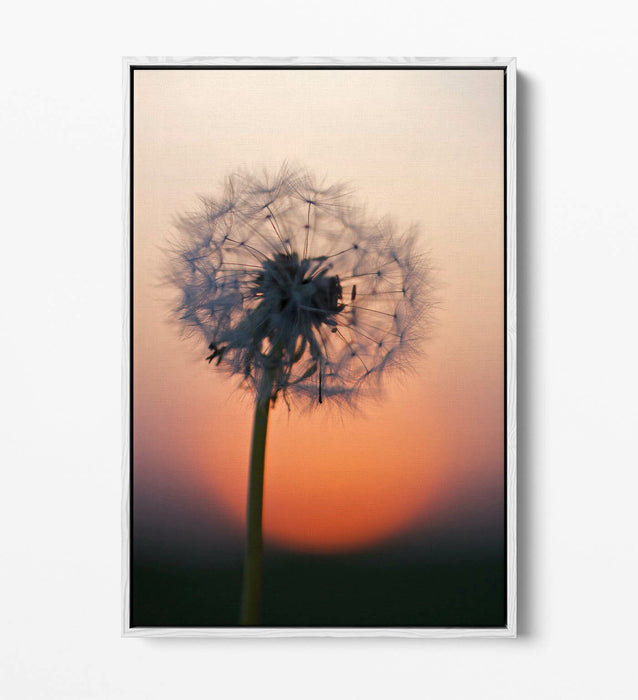 DANDELION PORTRAIT -FLOAT EFFECT CANVAS WALL ART PIC PRINT- GREY BLACK