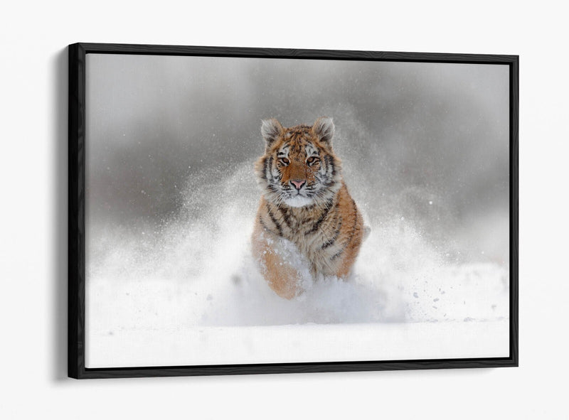 Tiger Canvas Wall Art – Running Tiger Artwork with Premium Float Frame | Handmade UK